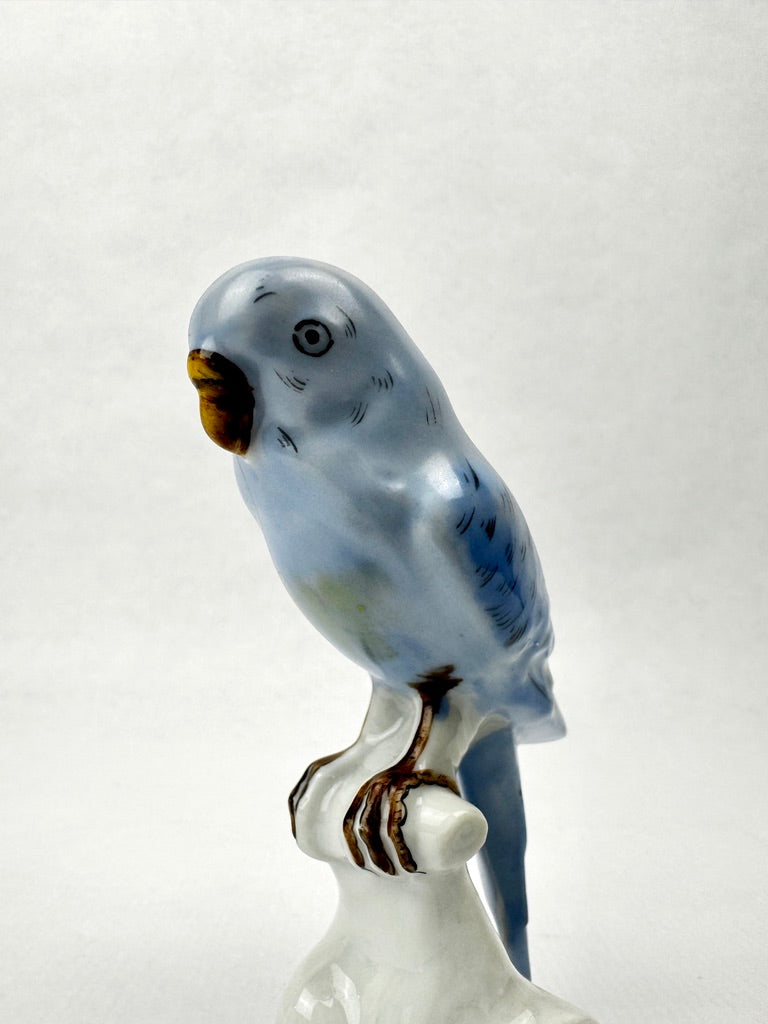 Perruche bleue en porcelaine de Limoges – France