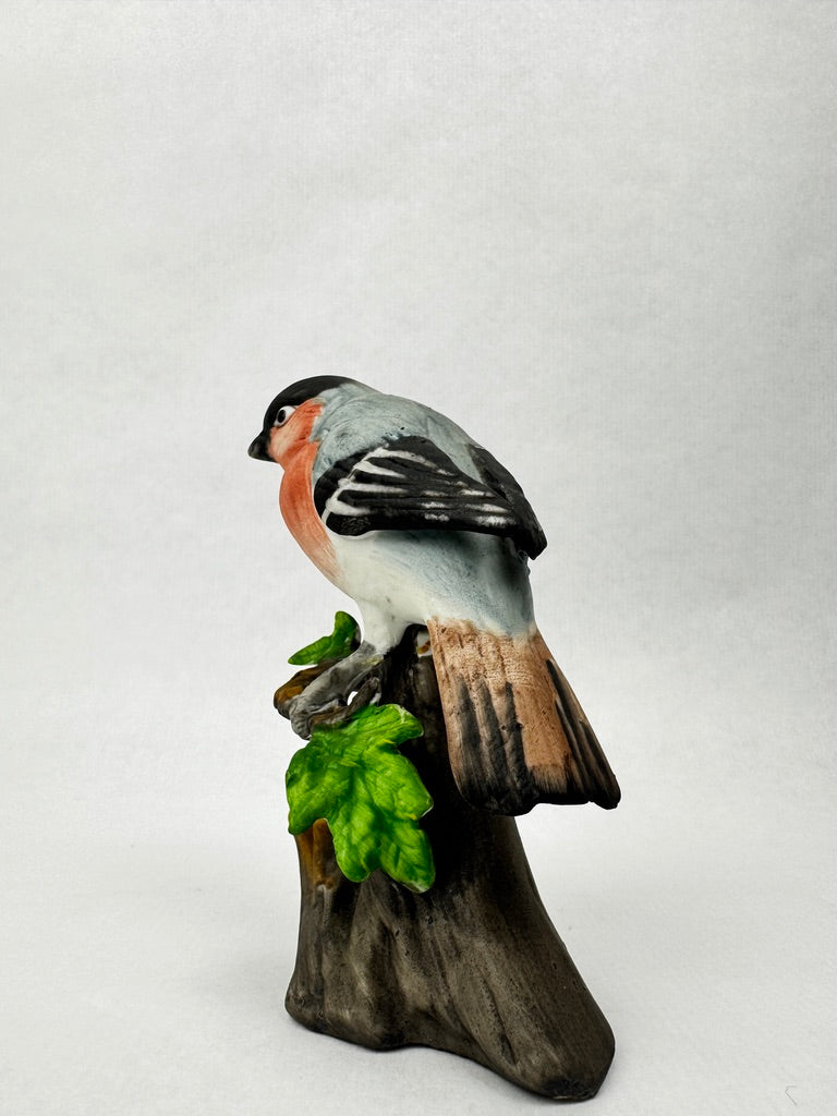 Bouvreuil pivoine en porcelaine non émaillée – vers 1950