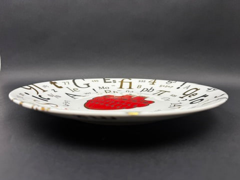 Assiette Royale Limoges Orta Escuela A21 édition Mexique