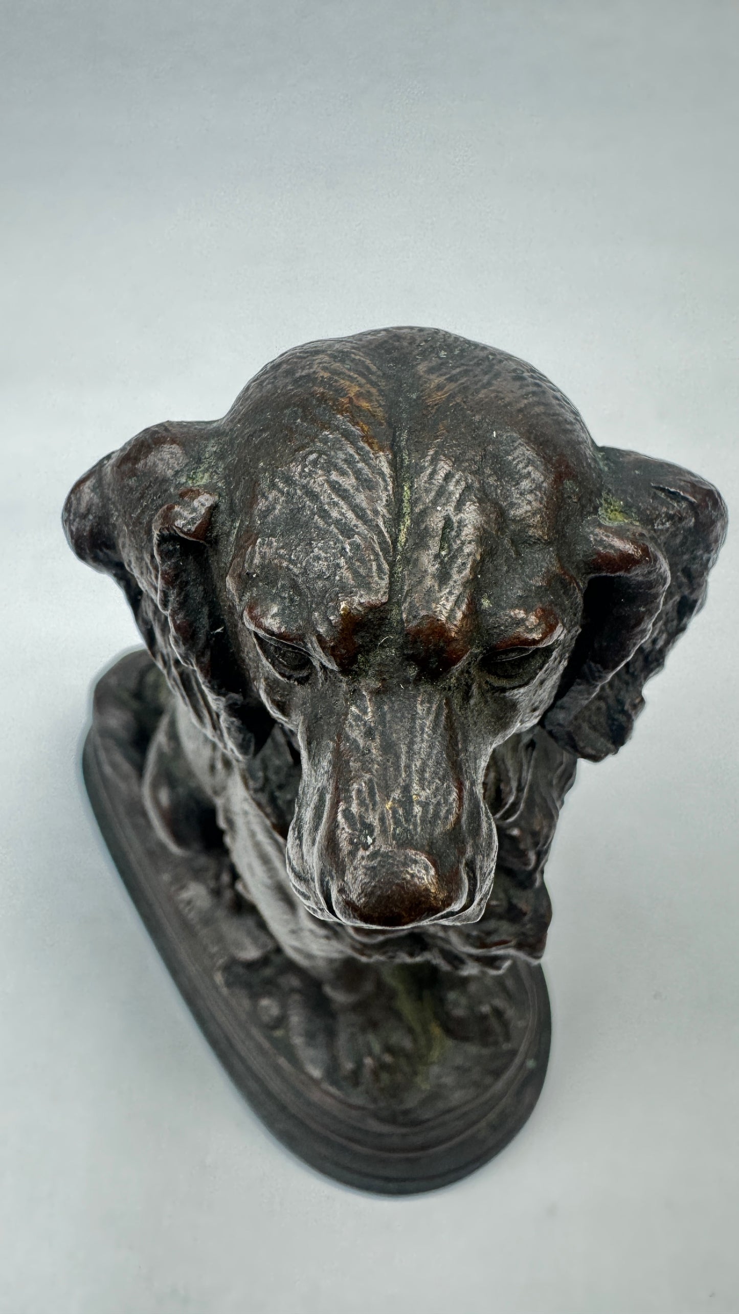 Bronze animalier signé Delabriere chien de chasse 16,5 cm