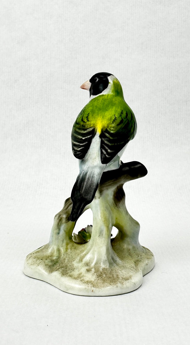 Oiseau en porcelaine Royal Adderley – “Black Headed Gouldian Finch