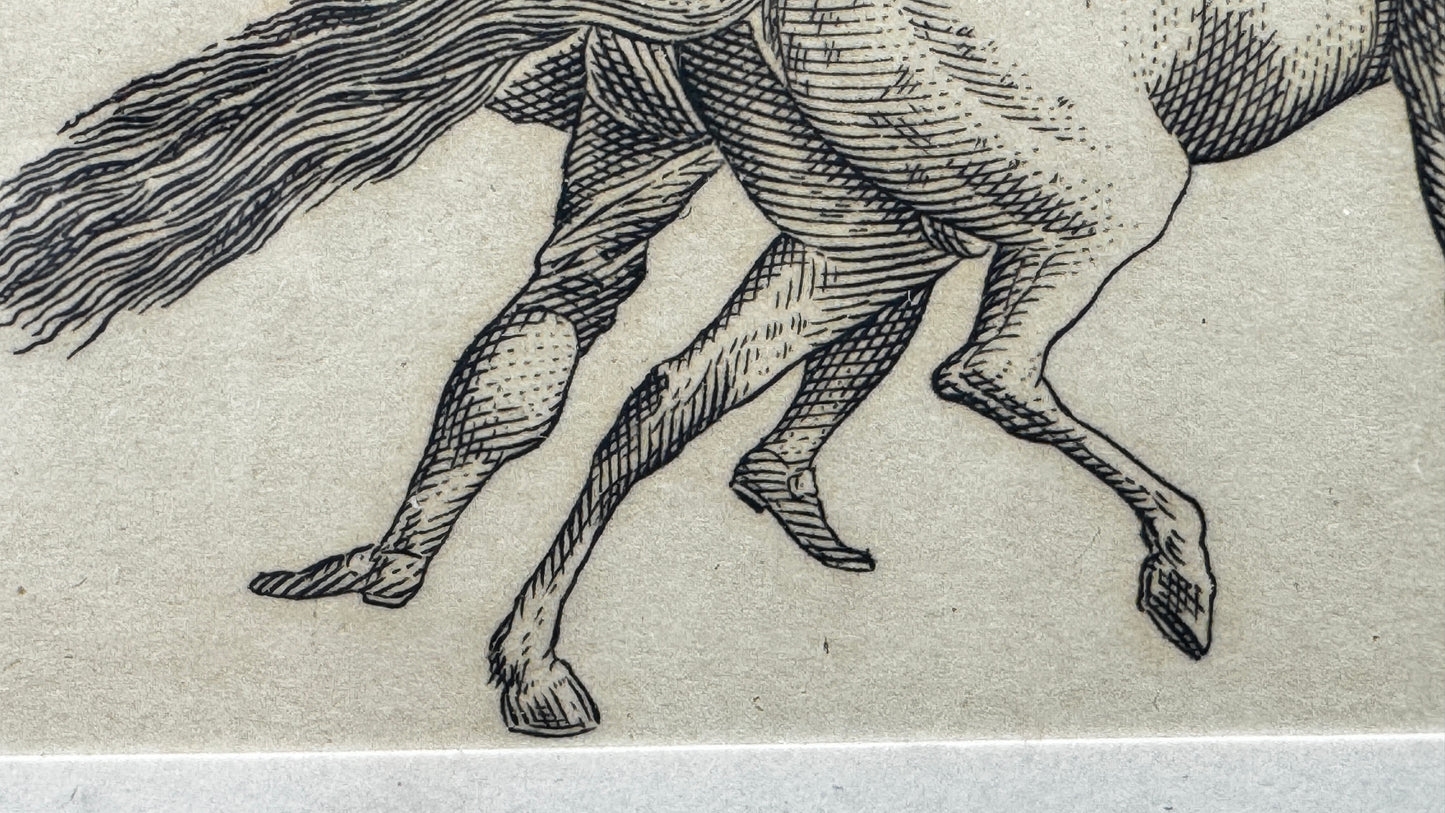 Petite gravure, scène de dressage