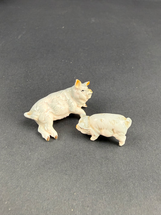 Deux adorables petits cochons en porcelaine
