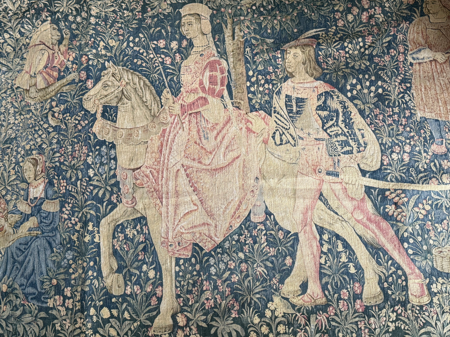 Ancienne tapisserie, La Noble Amazone