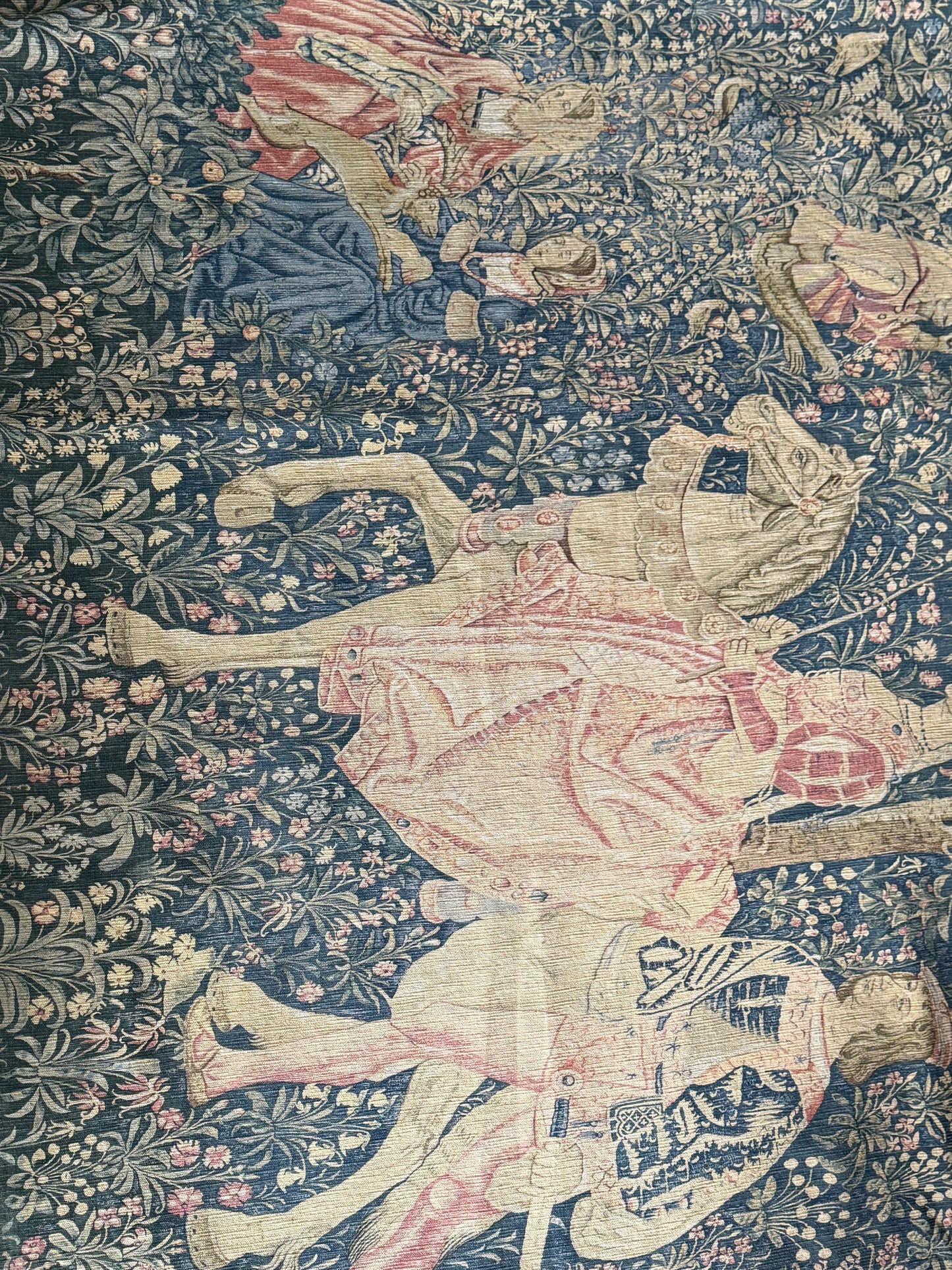 Ancienne tapisserie, La Noble Amazone