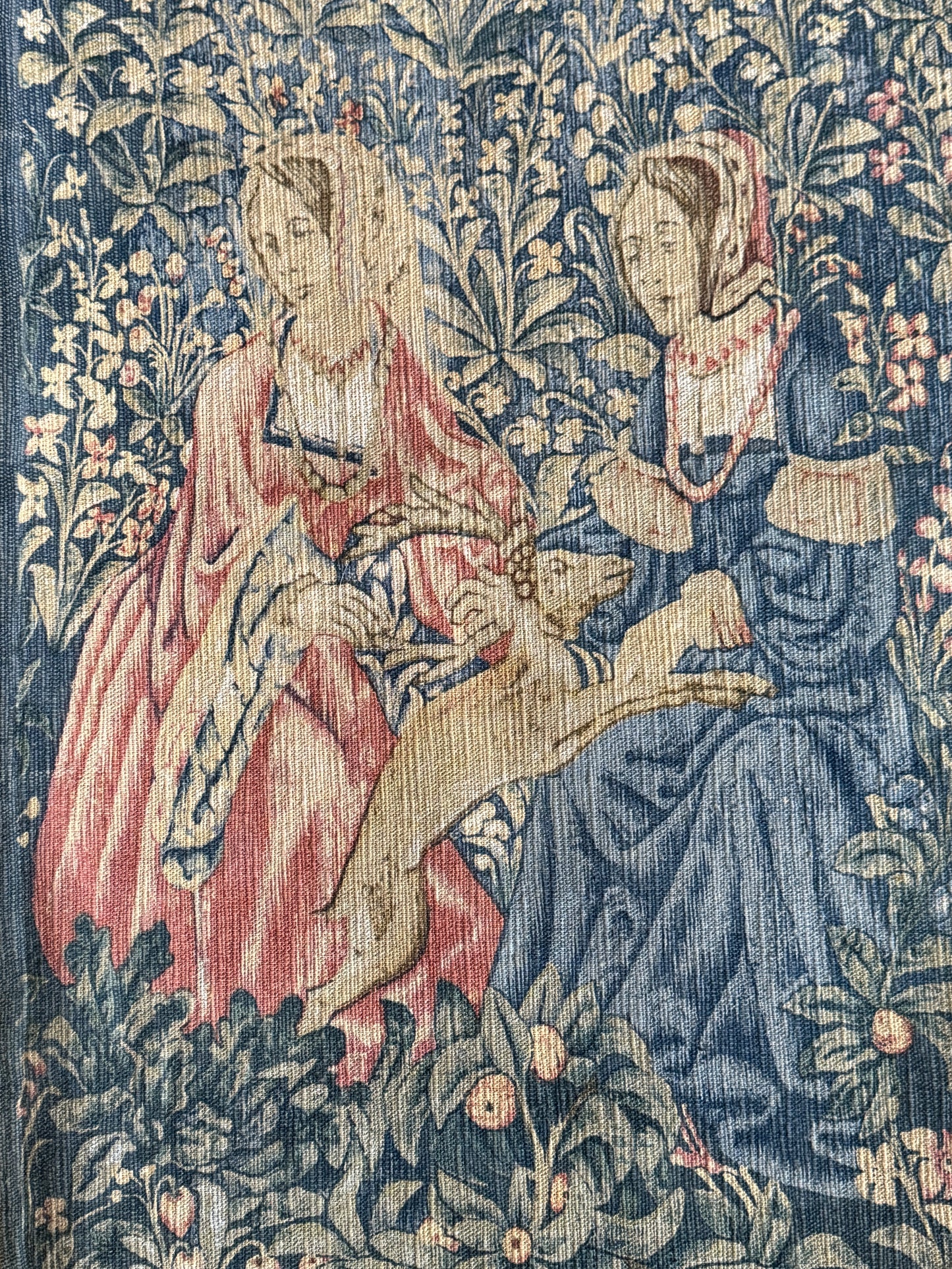 Ancienne tapisserie, La Noble Amazone