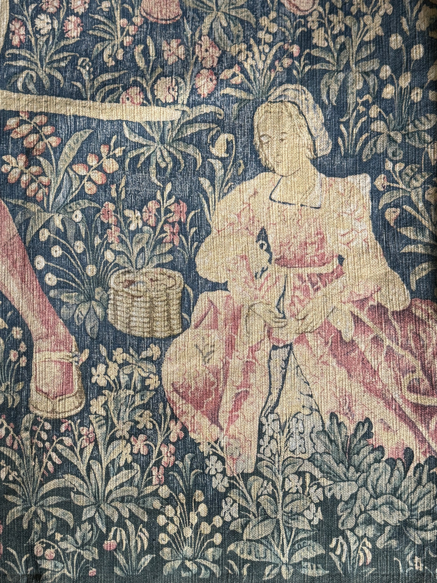 Ancienne tapisserie, La Noble Amazone