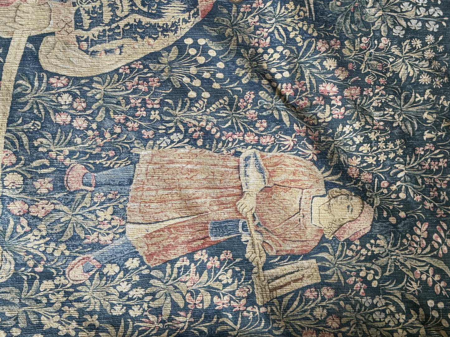Ancienne tapisserie, La Noble Amazone