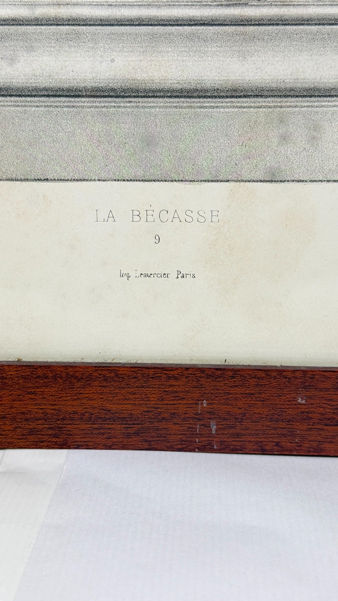 La Vénerie, Souvenirs de Chasses – détail du titre