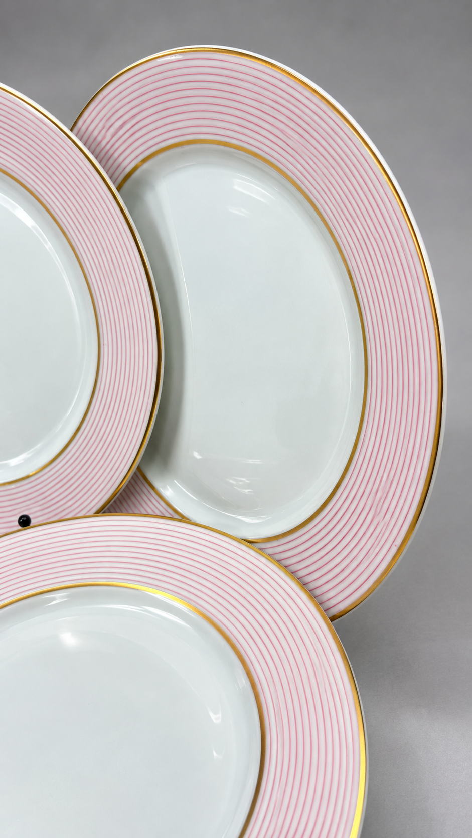 Raynaud Mille Raies, cinq assiettes plates, photographie 4