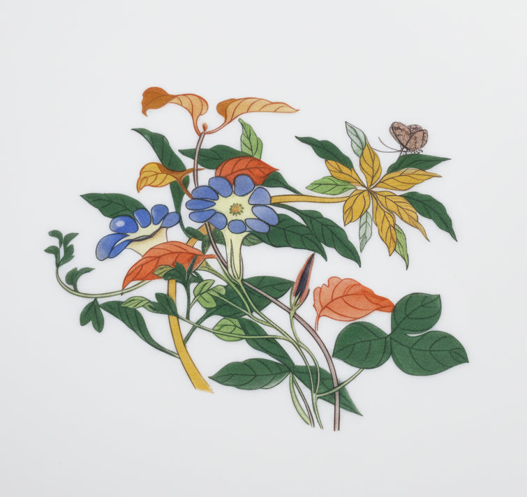 Service Volubilis bleus Vieux Chine — photo 4